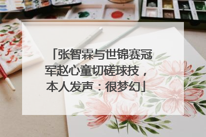 张智霖与世锦赛冠军赵心童切磋球技，本人发声：很梦幻