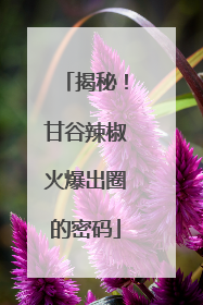 揭秘！甘谷辣椒火爆出圈的密码
