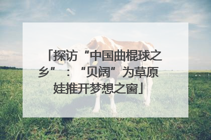 探访“中国曲棍球之乡”：“贝阔”为草原娃推开梦想之窗