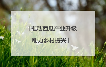 推动西瓜产业升级 助力乡村振兴
