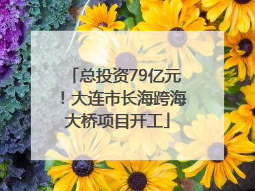 总投资79亿元！大连市长海跨海大桥项目开工