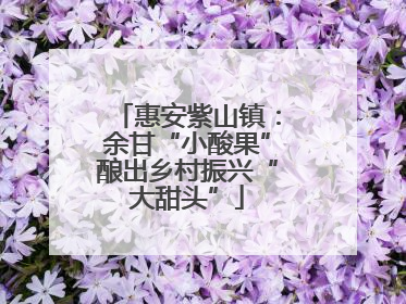 惠安紫山镇：余甘“小酸果”酿出乡村振兴“大甜头”