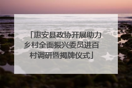 惠安县政协开展助力乡村全面振兴委员进百村调研暨揭牌仪式