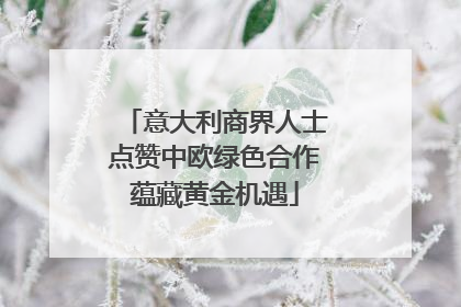 意大利商界人士点赞中欧绿色合作蕴藏黄金机遇