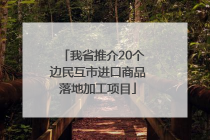 我省推介20个边民互市进口商品落地加工项目