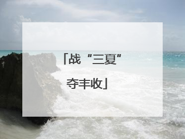 战“三夏” 夺丰收