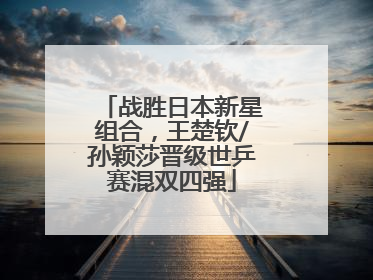 战胜日本新星组合，王楚钦/孙颖莎晋级世乒赛混双四强