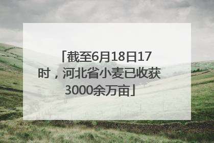 截至6月18日17时，河北省小麦已收获3000余万亩