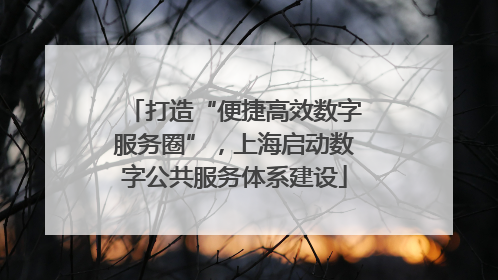 打造“便捷高效数字服务圈”，上海启动数字公共服务体系建设