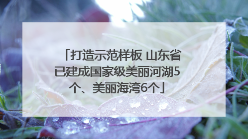 打造示范样板 山东省已建成国家级美丽河湖5个、美丽海湾6个