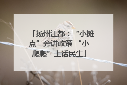 扬州江都：“小摊点”旁讲政策 “小爬爬”上话民生
