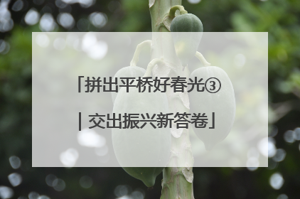 拼出平桥好春光③｜交出振兴新答卷