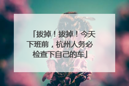 拔掉！拔掉！今天下班前，杭州人务必检查下自己的车