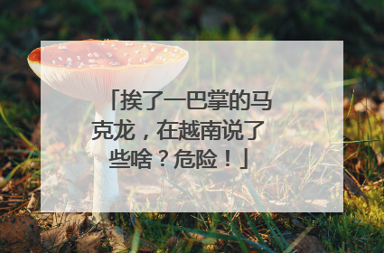 挨了一巴掌的马克龙，在越南说了些啥？危险！