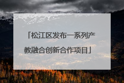 松江区发布一系列产教融合创新合作项目