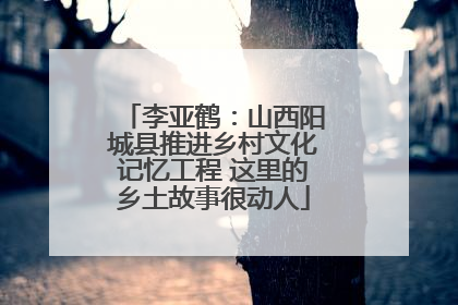 李亚鹤：山西阳城县推进乡村文化记忆工程 这里的乡土故事很动人