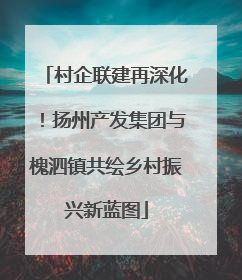 村企联建再深化！扬州产发集团与槐泗镇共绘乡村振兴新蓝图