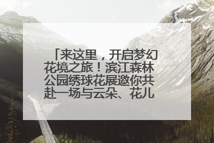 来这里，开启梦幻花境之旅！滨江森林公园绣球花展邀你共赴一场与云朵、花儿的浪漫之约