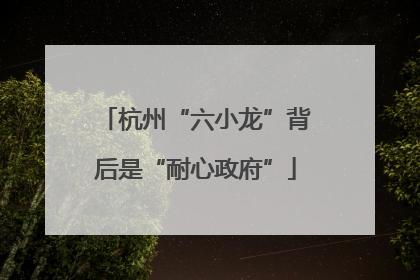 杭州“六小龙”背后是“耐心政府”