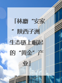林麝“安家”陕西子洲 生态链上崛起的“黄金”产业