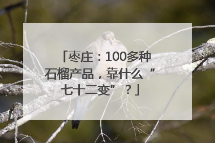 枣庄：100多种石榴产品，靠什么“七十二变”？