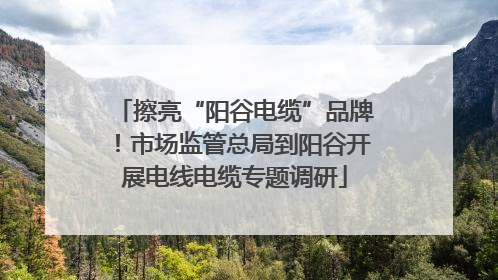 擦亮“阳谷电缆”品牌！市场监管总局到阳谷开展电线电缆专题调研