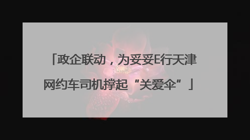 政企联动，为妥妥E行天津网约车司机撑起“关爱伞”