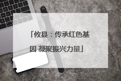 攸县：传承红色基因 凝聚振兴力量