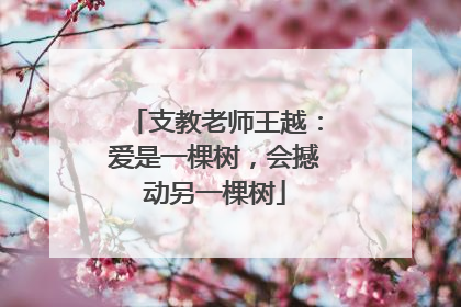 支教老师王越：爱是一棵树，会撼动另一棵树