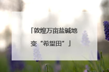 敦煌万亩盐碱地变“希望田”