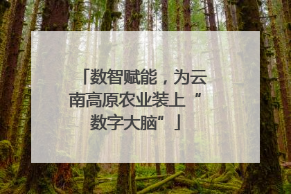 数智赋能，为云南高原农业装上“数字大脑”