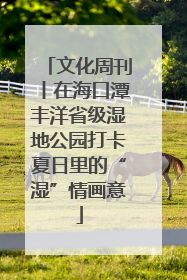 文化周刊丨在海口潭丰洋省级湿地公园打卡夏日里的“湿”情画意