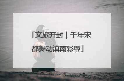 文旅开封｜千年宋都舞动滇南彩翼