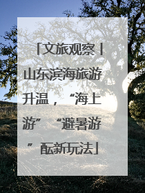 文旅观察丨山东滨海旅游升温，“海上游”“避暑游”酝新玩法