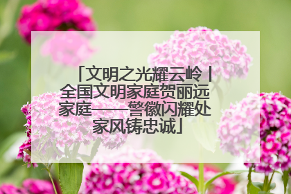 文明之光耀云岭丨全国文明家庭贺丽远家庭——警徽闪耀处 家风铸忠诚