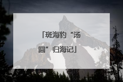 斑海豹“汤圆”归海记