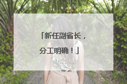 新任副省长，分工明确！
