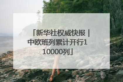 新华社权威快报｜中欧班列累计开行110000列