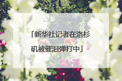 新华社记者在洛杉矶被催泪弹打中