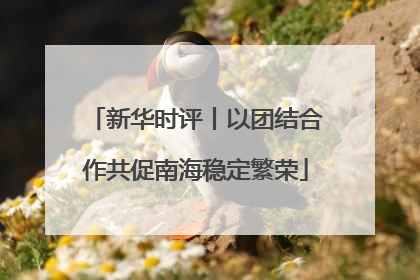 新华时评丨以团结合作共促南海稳定繁荣