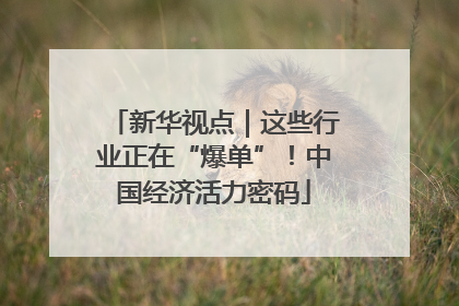 新华视点｜这些行业正在“爆单”！中国经济活力密码