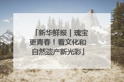 新华鲜报｜瑰宝更青春！看文化和自然遗产新光彩