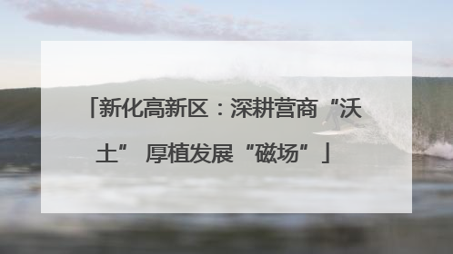 新化高新区：深耕营商“沃土” 厚植发展“磁场”