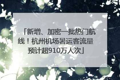 新增、加密一批热门航线！杭州机场暑运客流量预计超910万人次