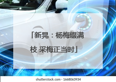 新晃：杨梅缀满枝 采梅正当时