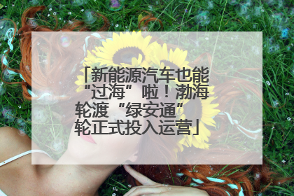 新能源汽车也能“过海”啦！渤海轮渡“绿安通” 轮正式投入运营