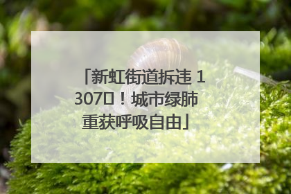 新虹街道拆违 1307㎡！城市绿肺重获呼吸自由