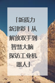 新质力 新津彩丨从解放双手到智慧大脑 探访工业机器人