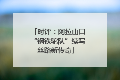 时评：阿拉山口“钢铁驼队”续写丝路新传奇