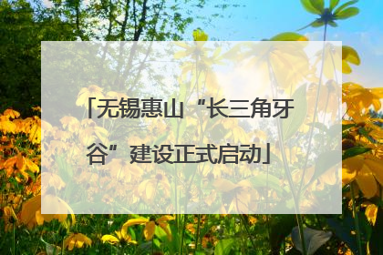 无锡惠山“长三角牙谷”建设正式启动